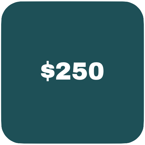 Make Your Assist - Donate Today!