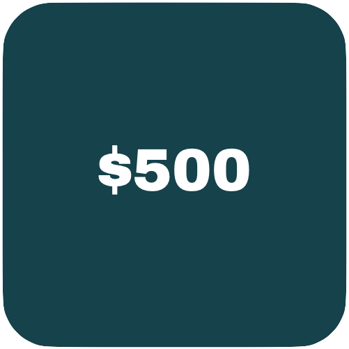 Make Your Assist - Donate Today!